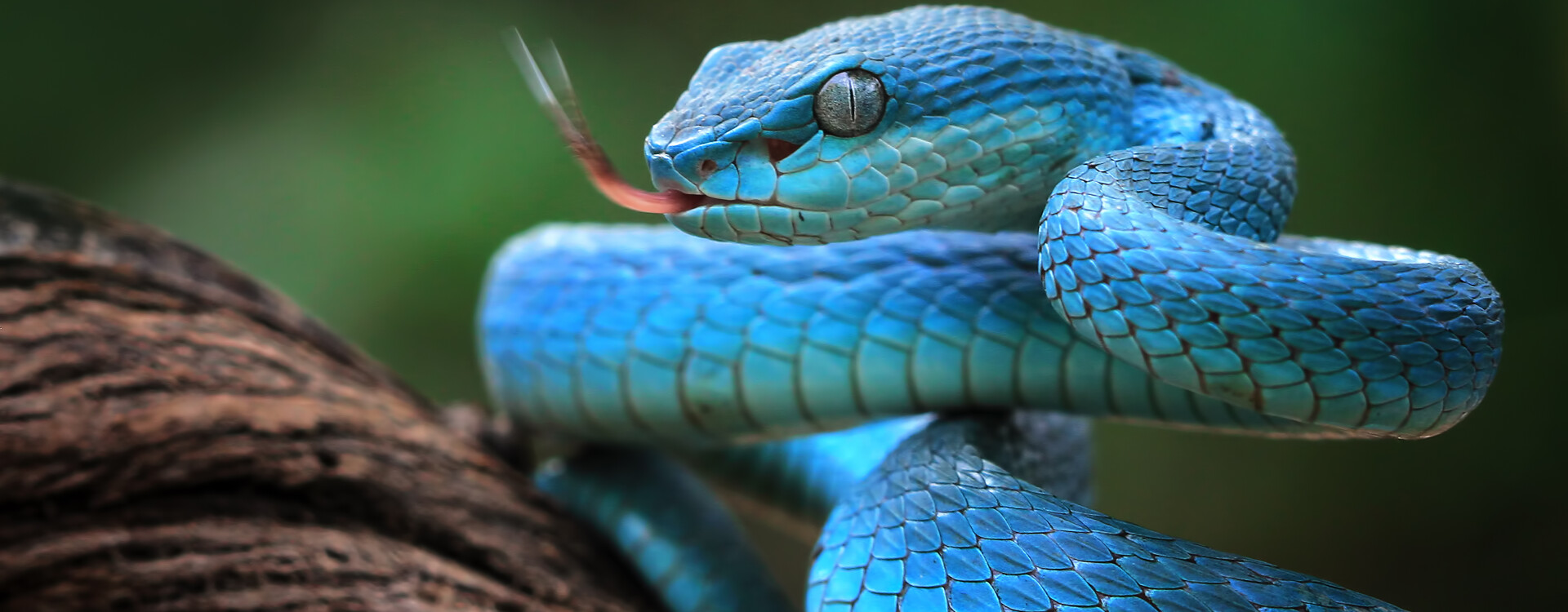 AdobeStock 295055844