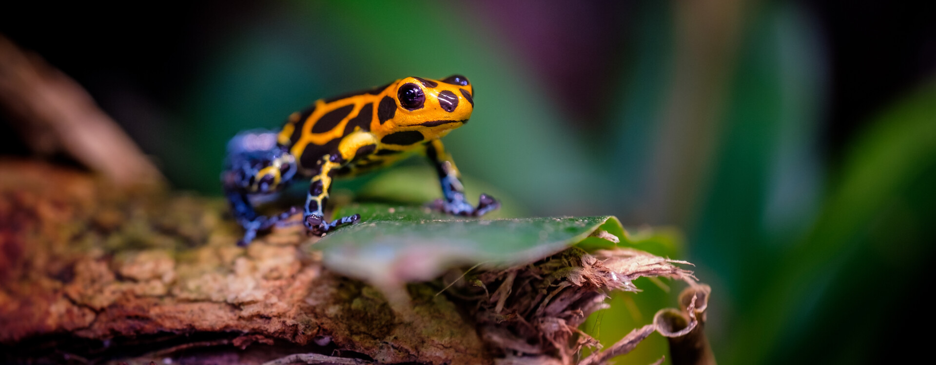 AdobeStock 309050831